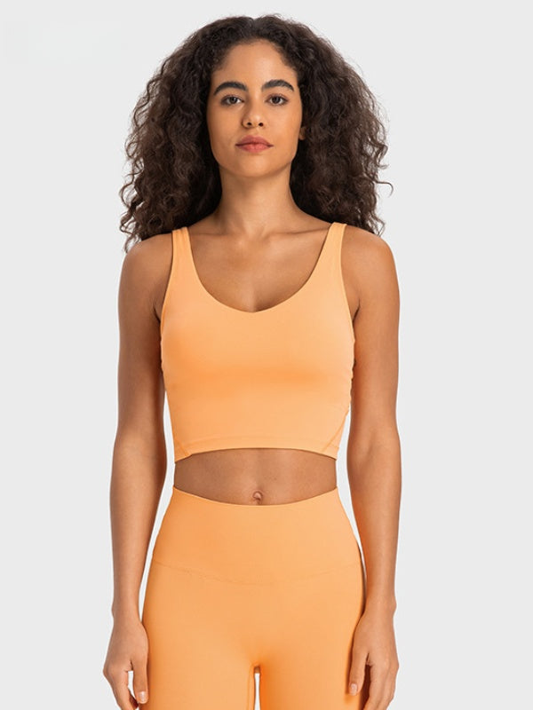 Flexvibe Backless Sports Bra - Wide Straps V-Neck Removable Padded Cups High Elastic