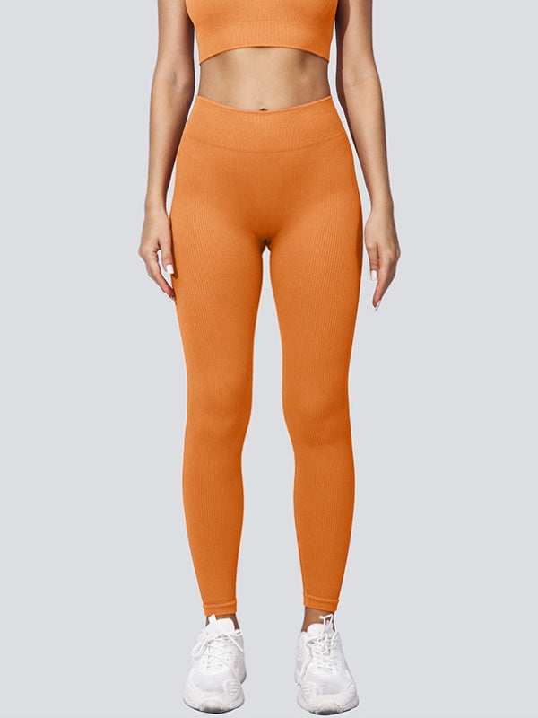 Flexvibe High Waisted Seamless Yoga Leggings - Fleece-Like Thin Stripes Naked Feel No Camel Toe