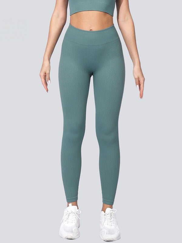 Flexvibe High Waisted Seamless Yoga Leggings - Fleece-Like Thin Stripes Naked Feel No Camel Toe