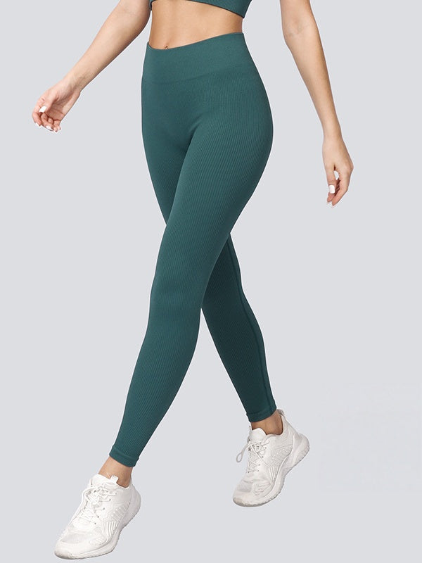 Flexvibe High Waisted Seamless Yoga Leggings - Fleece-Like Thin Stripes Naked Feel No Camel Toe