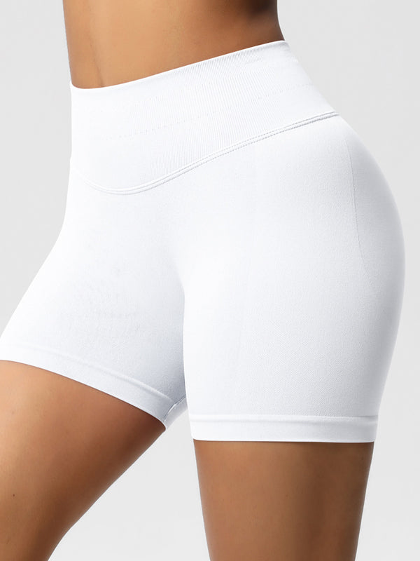 Flexvibe High-Waisted Seamless 3-Panel Shorts - 3-Inch Butt Lifting Quick-Dry Gym Wear