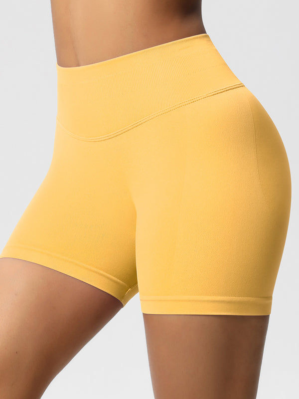 Flexvibe High-Waisted Seamless 3-Panel Shorts - 3-Inch Butt Lifting Quick-Dry Gym Wear