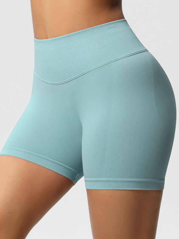 Flexvibe High-Waisted Seamless 3-Panel Shorts - 3-Inch Butt Lifting Quick-Dry Gym Wear