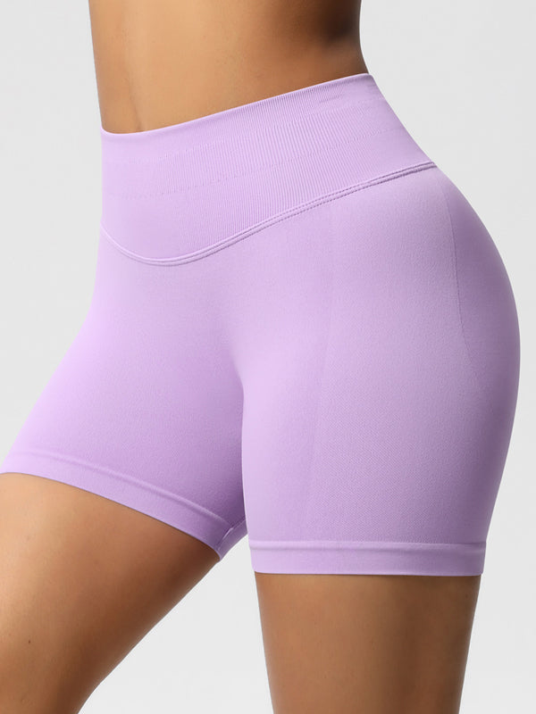 Flexvibe High-Waisted Seamless 3-Panel Shorts - 3-Inch Butt Lifting Quick-Dry Gym Wear