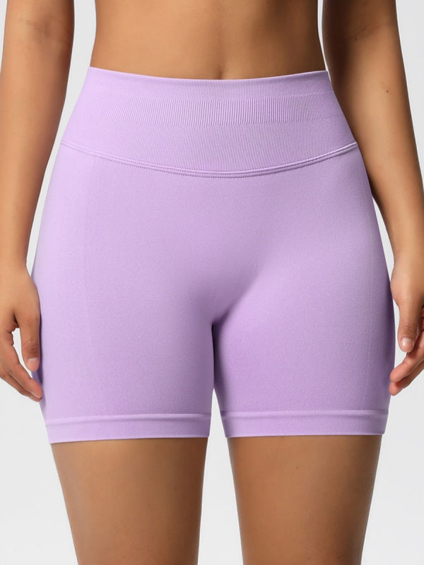 Flexvibe High-Waisted Seamless 3-Panel Shorts - 3-Inch Butt Lifting Quick-Dry Gym Wear